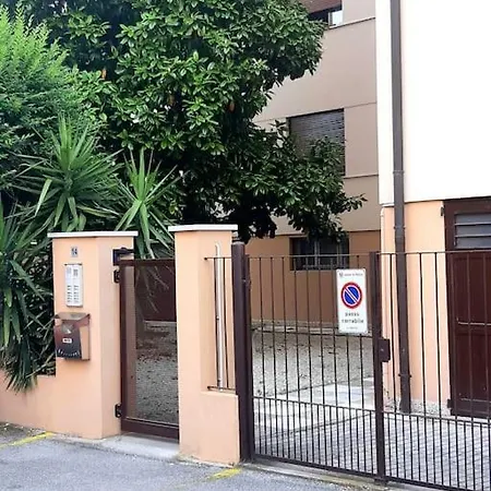 Monti *